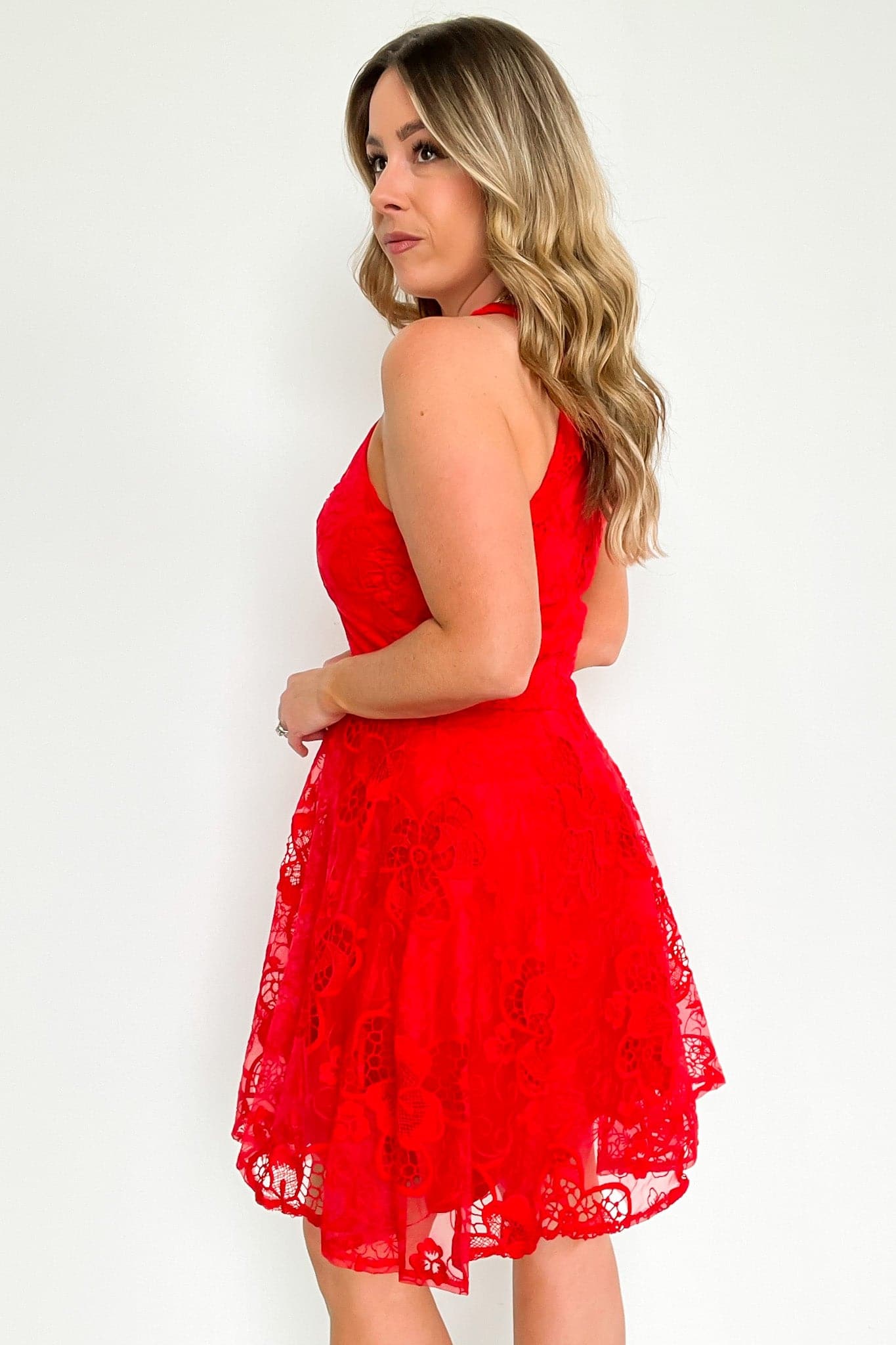  Darling Dancer Fit and Flare Lace Dress - FINAL SALE - Madison and Mallory