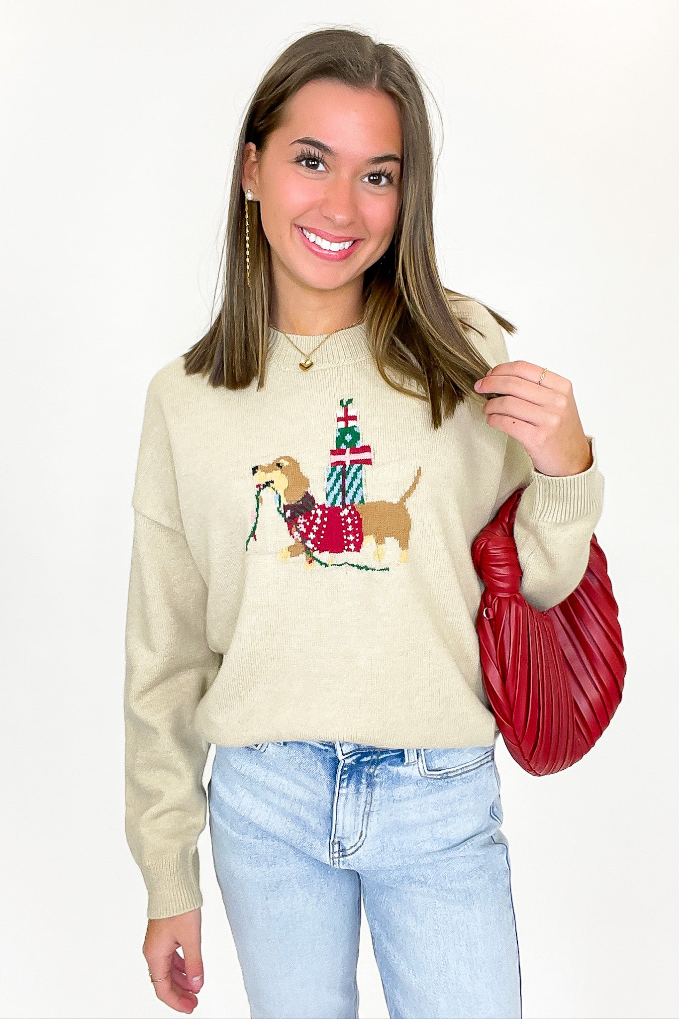 Festive Pup Holiday Knit Sweater - FINAL SALE - Madison and Mallory