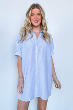 Renna Striped Button Up Shirt Dress - FINAL SALE - Madison and Mallory
