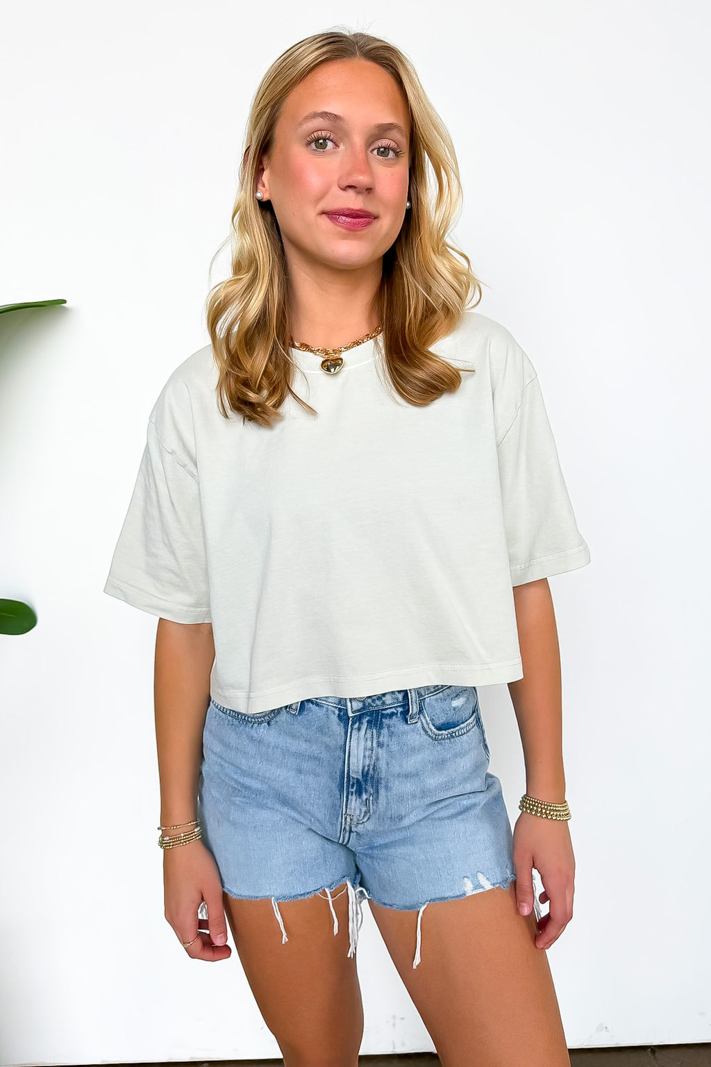 Digital Mist / S Lived-In Luxe Mineral Washed Loose Fit Tee - Madison and Mallory