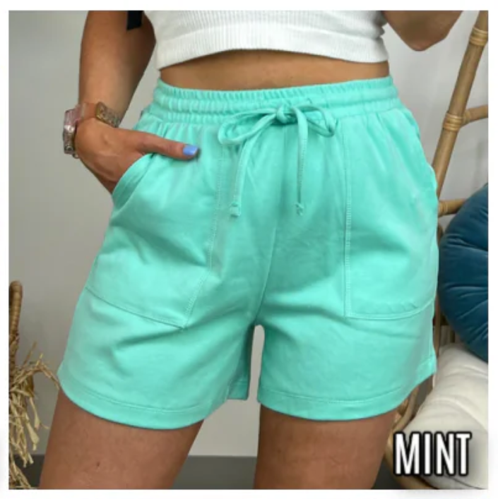 Mint / S Harvison Drawstring Waist Shorts - FINAL SALE - Madison and Mallory