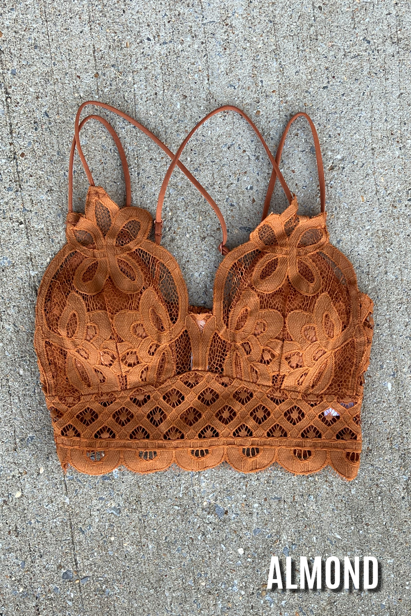 Almond / S Sweet Muse Scallop Lace Bralette - Madison and Mallory
