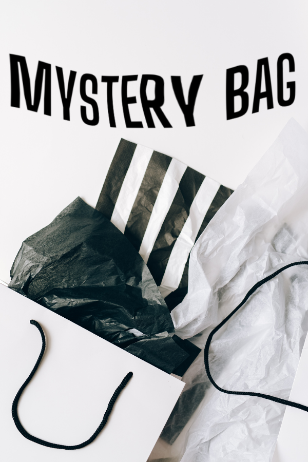 S Mystery Bag - Madison and Mallory
